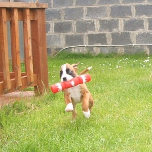 Wilma