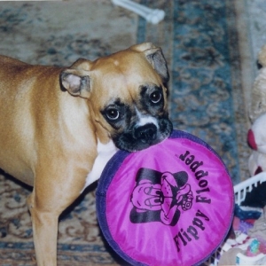 Play with me... please!!!