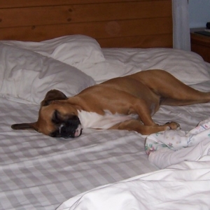 So,...where are you gonna sleep?