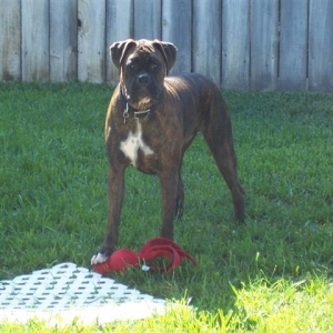 Syd @ 16 Month's Old