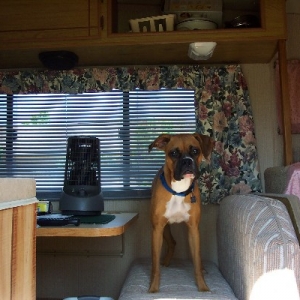 Stormie in our camper