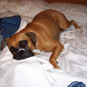 Um, isn't this MY bed?