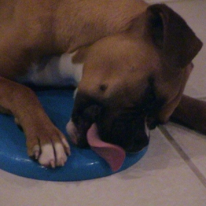 Love my frisbee!