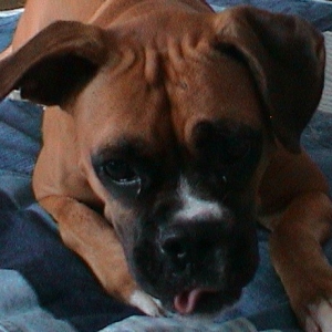 Cute little face