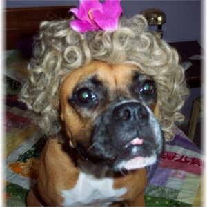 Humiliation