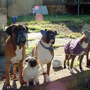 The Hillbillies!