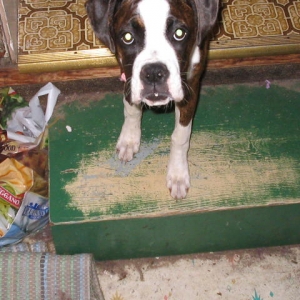 Where are you going?