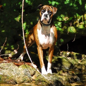 Who's got my stick?