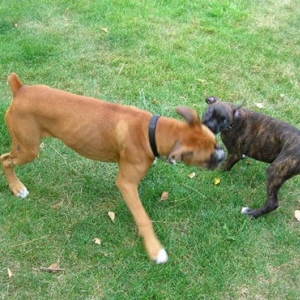 friends