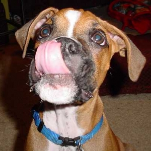 Slurp!