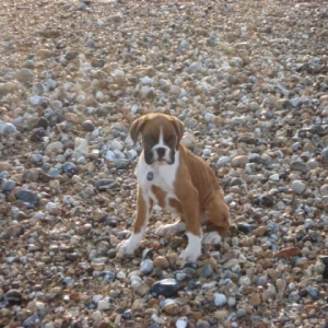my first beach trip