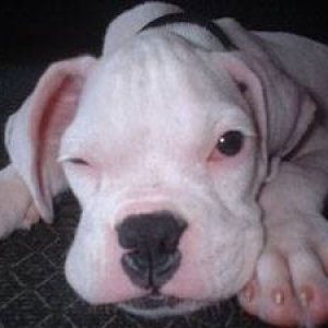 Wink!