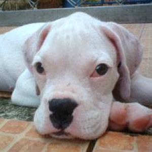 Call me "Big Head"