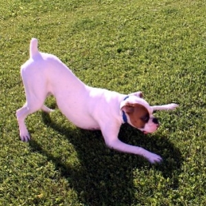 Moto inviting Tara to play.