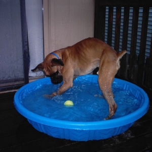 Pool Hopping 1