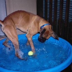 Pool Hopping 2