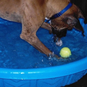 Pool Hopping 3