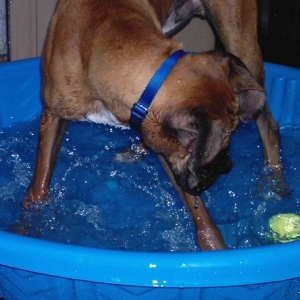Pool Hopping 4