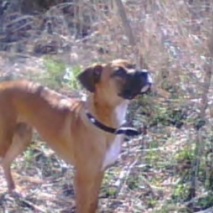Handsome and proud of it!!!