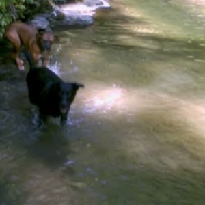Playin' in the water!