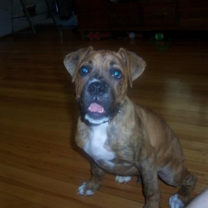 Baby Drake
