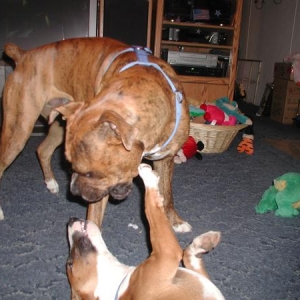 Playin