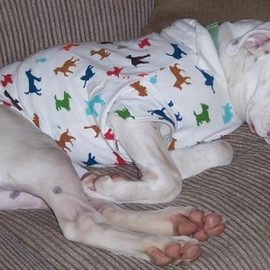 Jackson napping