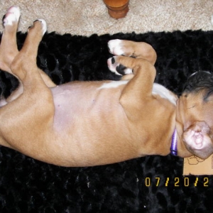 Ahhh, so comfy