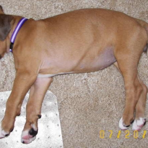 Yeah, I'm sleepin