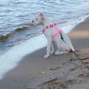 At the beach