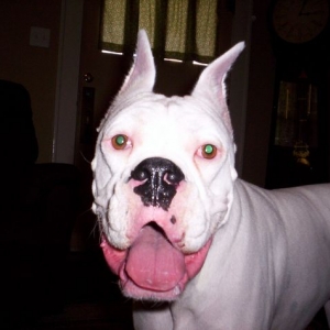 Duke smiling for the camara!