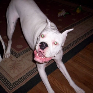 Take my pic momma!
