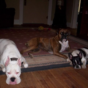 First pic with all three