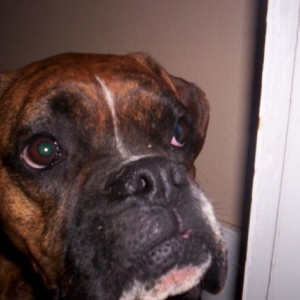 Close up!