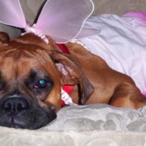 FINALLY she is worn out!