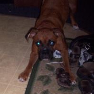 She looks so mean!