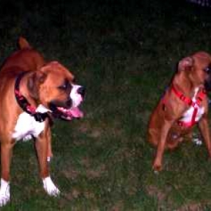 Gunner and Jesse Jane!