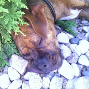 Tired girl!