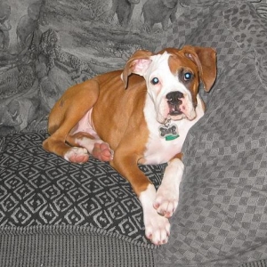 My baby!