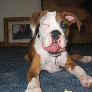 *Wink*