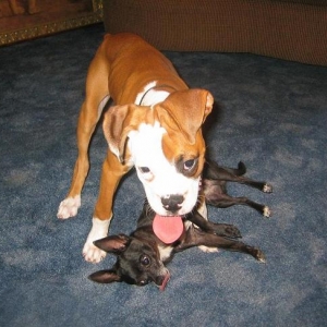 Kujo and Shelby