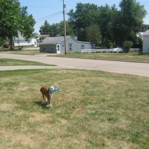 Frisbee