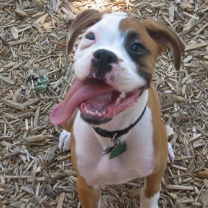 Smile!