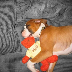 Too cute...I know