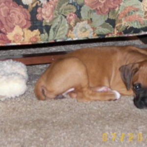 I fit.......for now