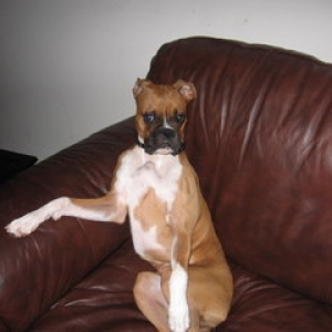 Divine Miss Lucy