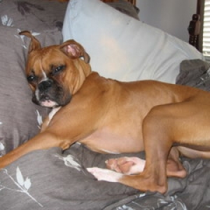 Nap time