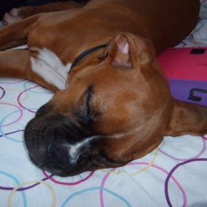 Another sleeping beauty pic
