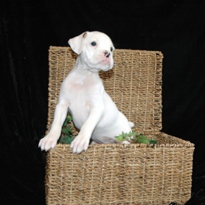 betty 7 wks