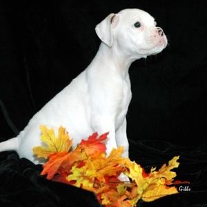 betty 7 wks